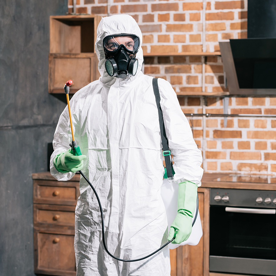 Four Things to Do Before a Buffalo Pest Control Visit