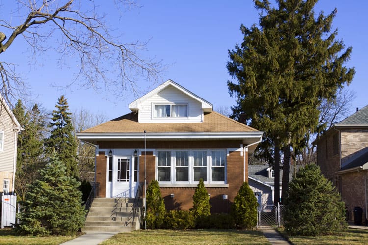 Featured image for “The Most Common Summer Pests in Buffalo Homes”