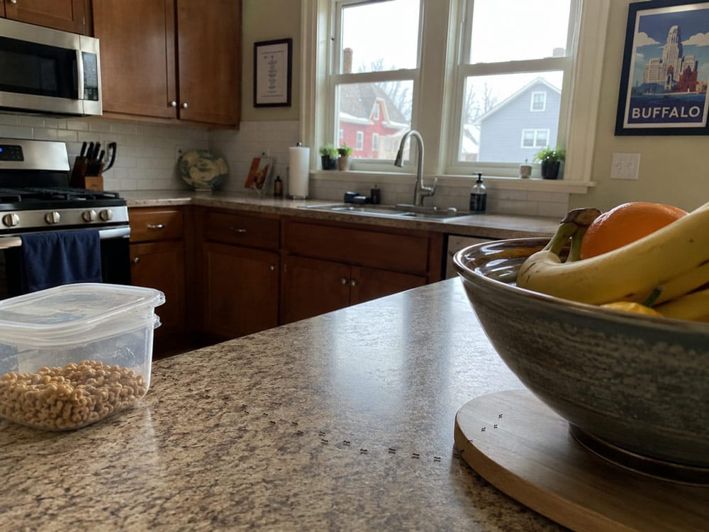 Featured image for “Bugs in Your Kitchen? How to Get Rid of Common Bugs in Buffalo Kitchens”